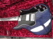 Custom Guitars