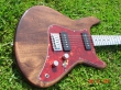 Custom Guitars