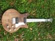 Custom Guitars