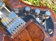 Custom Guitars