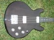 Custom Basses