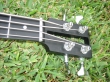 Custom Basses