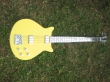 Custom Basses