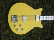 Custom Basses