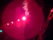 Melvins